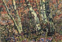 Jan Adam Zandleven: Berkenbos
