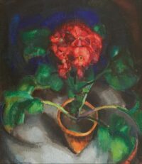 Wim Schuhmacher: Bloemen