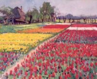 Ben Viegers: Bulb fields in full bloom