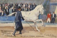Willy Sluiter: Circus Kavaljos