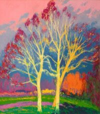 Jannes de Vries: Drie berken
