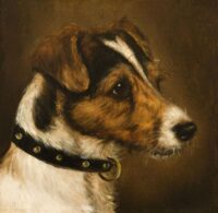 Edward Aistrop: Foxterriër
