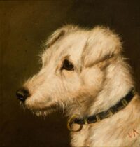 Edward Aistrop: Witte foxterriër