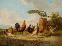 Albert Verhoesen: Een pauw, kippen en een haan in een zonnig landschap