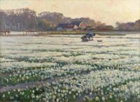August Lüdecke-Cleve: In volle bloei