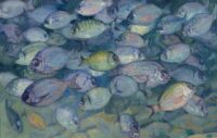 Théo van Rysselberghe: Tanches, sargues et daurades