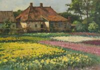 Ben Viegers: Kleurrijk bollenveld bij boerderij