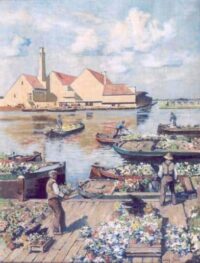 Louis Bron: De Centrale Aalsmeerse Bloemenveiling