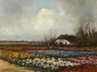 Anton Dirckx: Kleurrijke bollenvelden