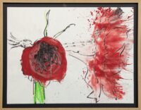 Erik Andriesse: Amaryllis (in lijst)