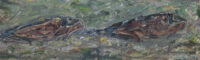 Marc Mulders: Twee vissen