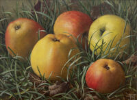 Jan Voerman jr.: Appels in gras