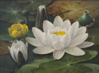 Jan Voerman jr.: Waterlelie