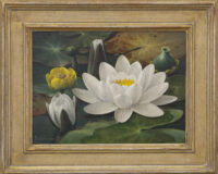Jan Voerman jr.: Waterlelie (in lijst)