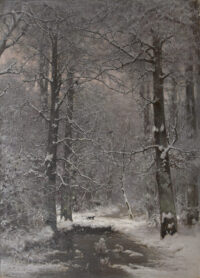 Louis Apol: Winters bosgezicht