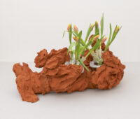 Guido Geelen: Hazewind hond (in lijst)