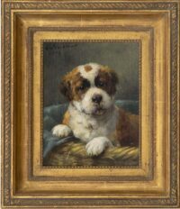 Otto Eerelman: Sint Bernard pup (in lijst)
