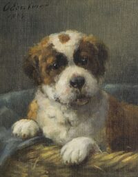 Otto Eerelman: Sint Bernard pup