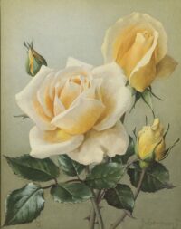 Jan Voerman jr.: Gele rozen
